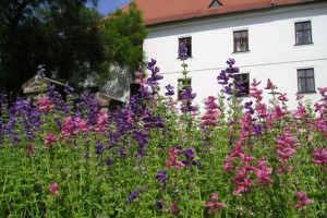 klostergarten-in-brunn-reuters
